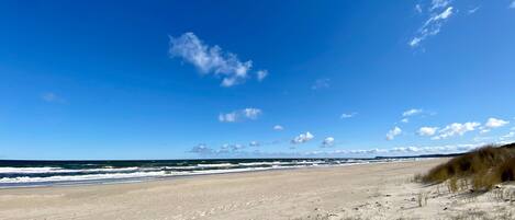 Plage à proximité