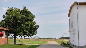 A rural setting with a large tree, a white building, and a fenced field. - Peeneblick - Reusenhof on the lagoon (Usedom)