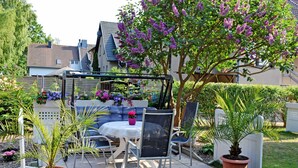 Un patio al aire libre con mesa y sillas, rodeado de plantas en macetas y arbustos florecientes.