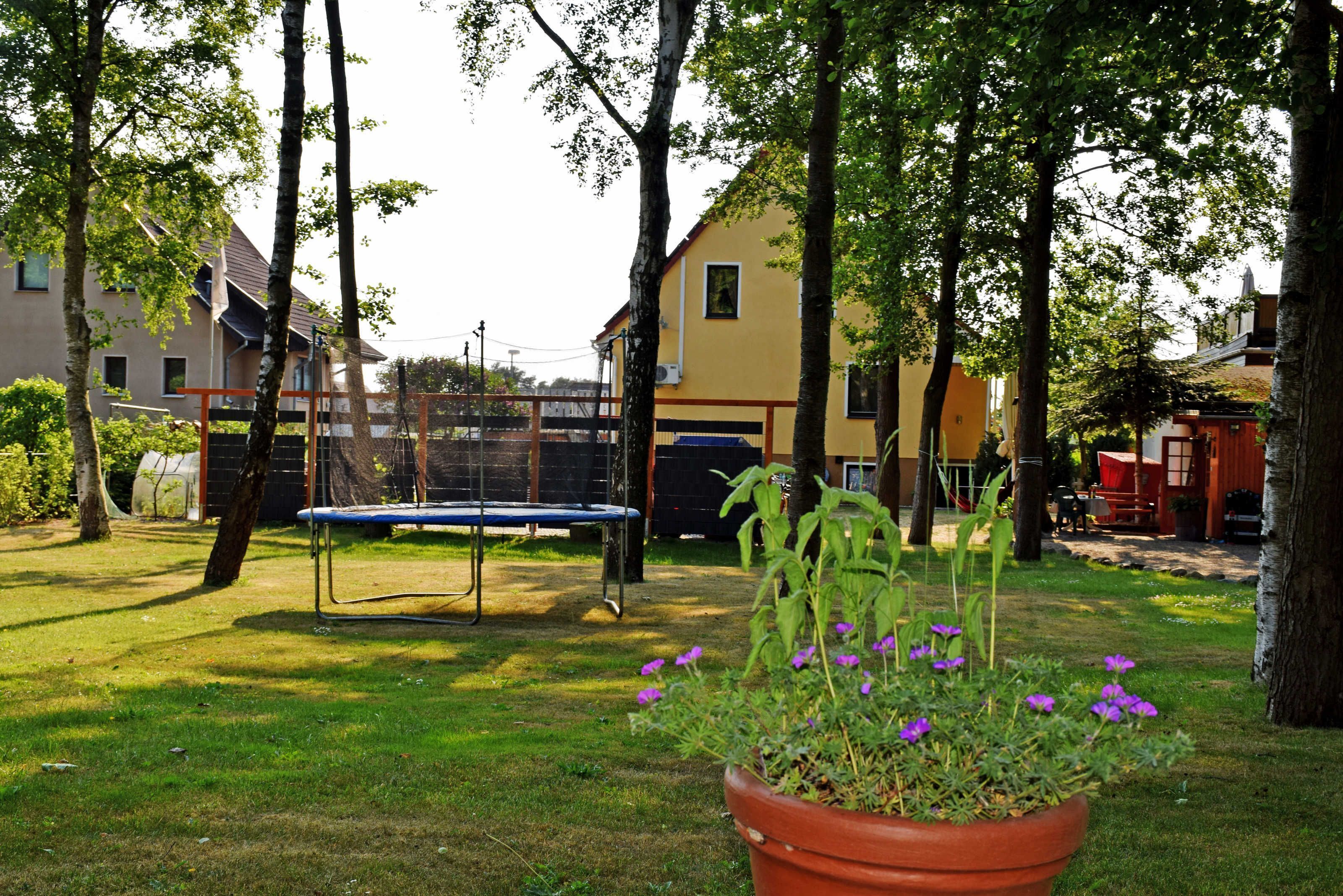 A residential area with a trampoline in a yard, surrounded by trees and houses.