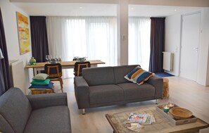 Télévision, cheminée, lecteur de DVD