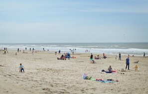 Vlak bij het strand, vissen