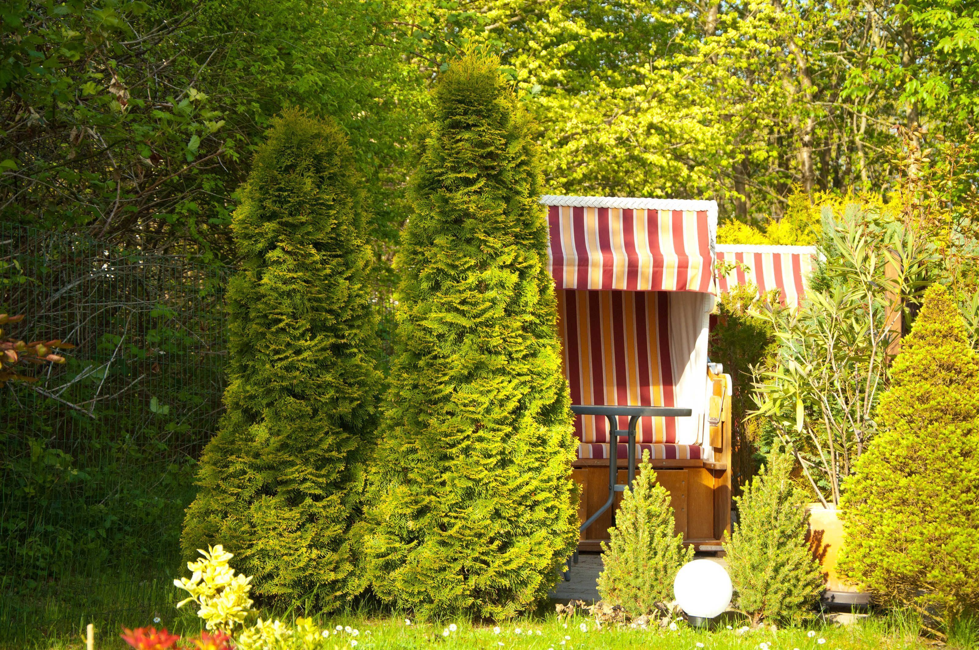 En lille bygning med et stribet tag, omgivet af frodig vegetation.