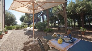 An outdoor seating area with a table set for tea, surrounded by trees and a gravel path. - Lovely apartment in Rosignano LI (Rosignano LI)