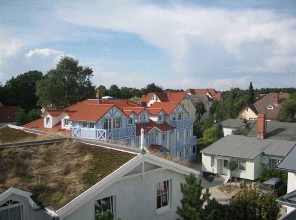 Eksteriør