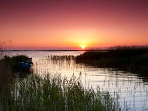 Miscellaneous - Holiday House Darßblick - Holiday home Darßblickam Bodden (Saal)