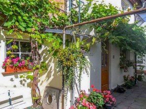 Unclassified image, 4 of 20, button - Vacation apartment Socolowsky - Holiday apartment (Bad Sülze)