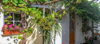 Vacation apartment Socolowsky - Holiday apartment