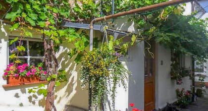 Guesthouse Socolowsky