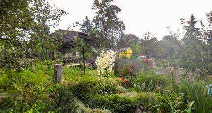 Ferienwohnung Socolowsky - Ferienwohnung