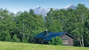 Uklassifisert bilde, 3 av 21, knapp