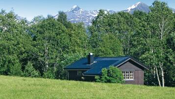 Udendørsområde