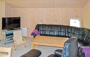 TV, fireplace, DVD player