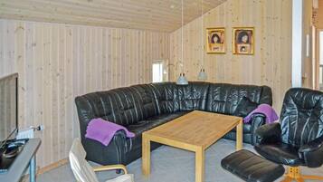 TV, peis og DVD-spiller