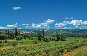 A vineyard with rows of grapevines and a distant view of a town. - Beautiful home in Prolozac Donji (Prolozac Donji)