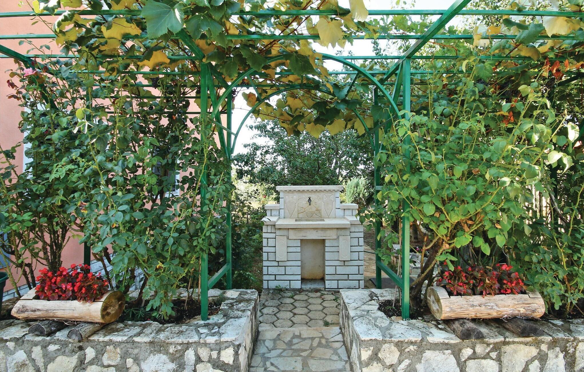 A garden with a stone bench, climbing plants, and a green metal trellis structure.