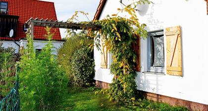 Ferienhaus in Lauterbach mitTerrasse und Kachelofen