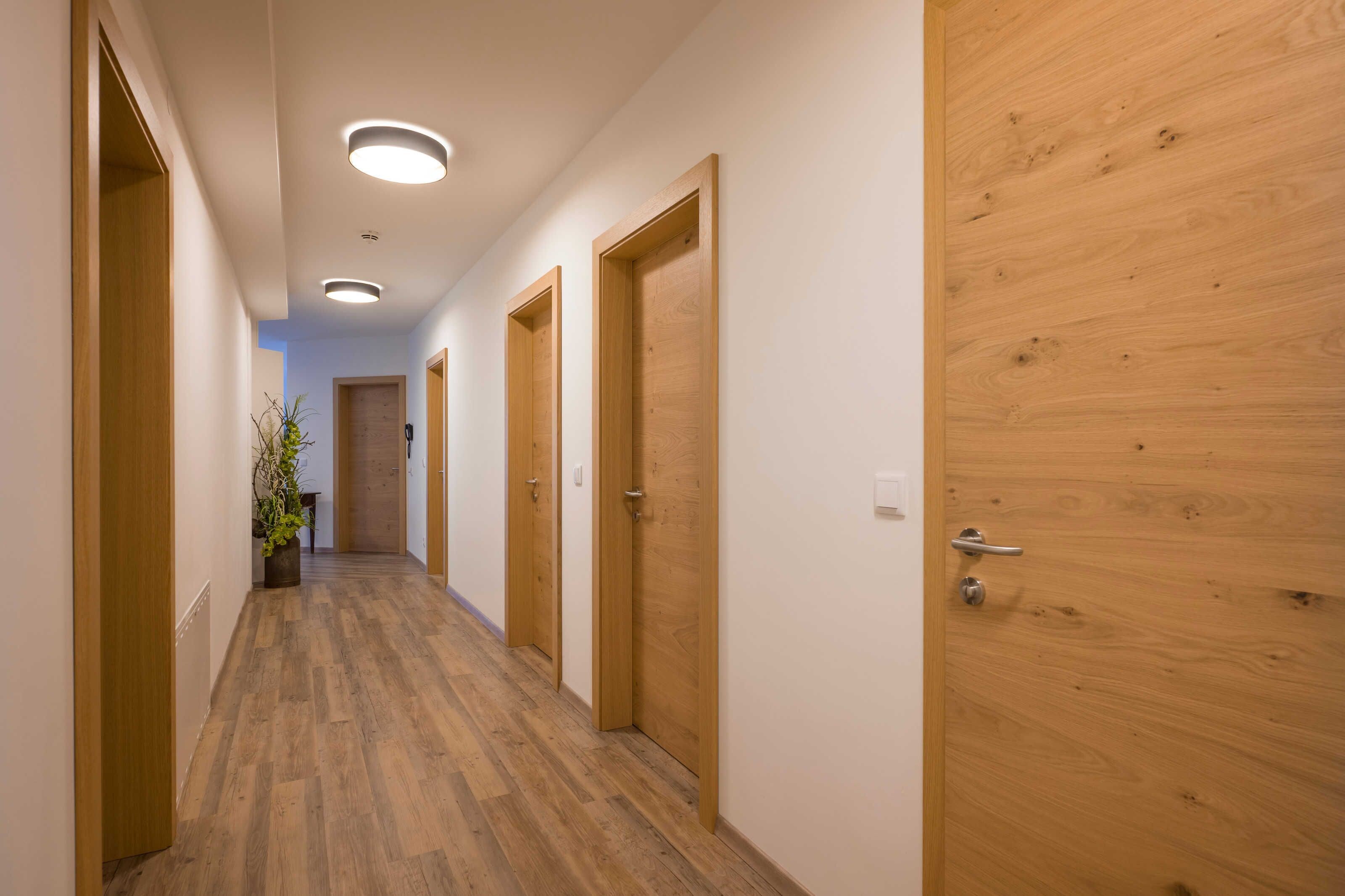 A hallway with wooden doors, a potted plant, and recessed ceiling lighting.