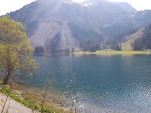 Luokittelematon kuva, 5 kautta 51, painike