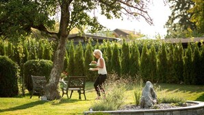 Un jardín con un banco, un árbol y una estatua.