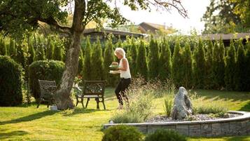 Ein Garten mit Bank, Baum und Statue.