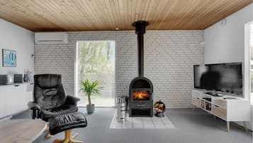 TV, fireplace, DVD player, ping pong