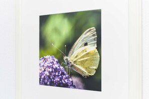 Photo non classée, 3 sur 21, bouton