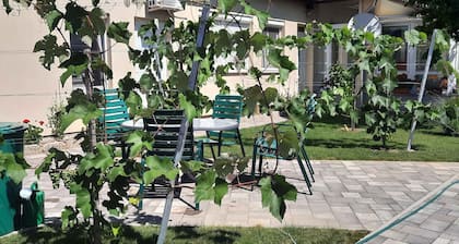 Holiday apartment with barbecue