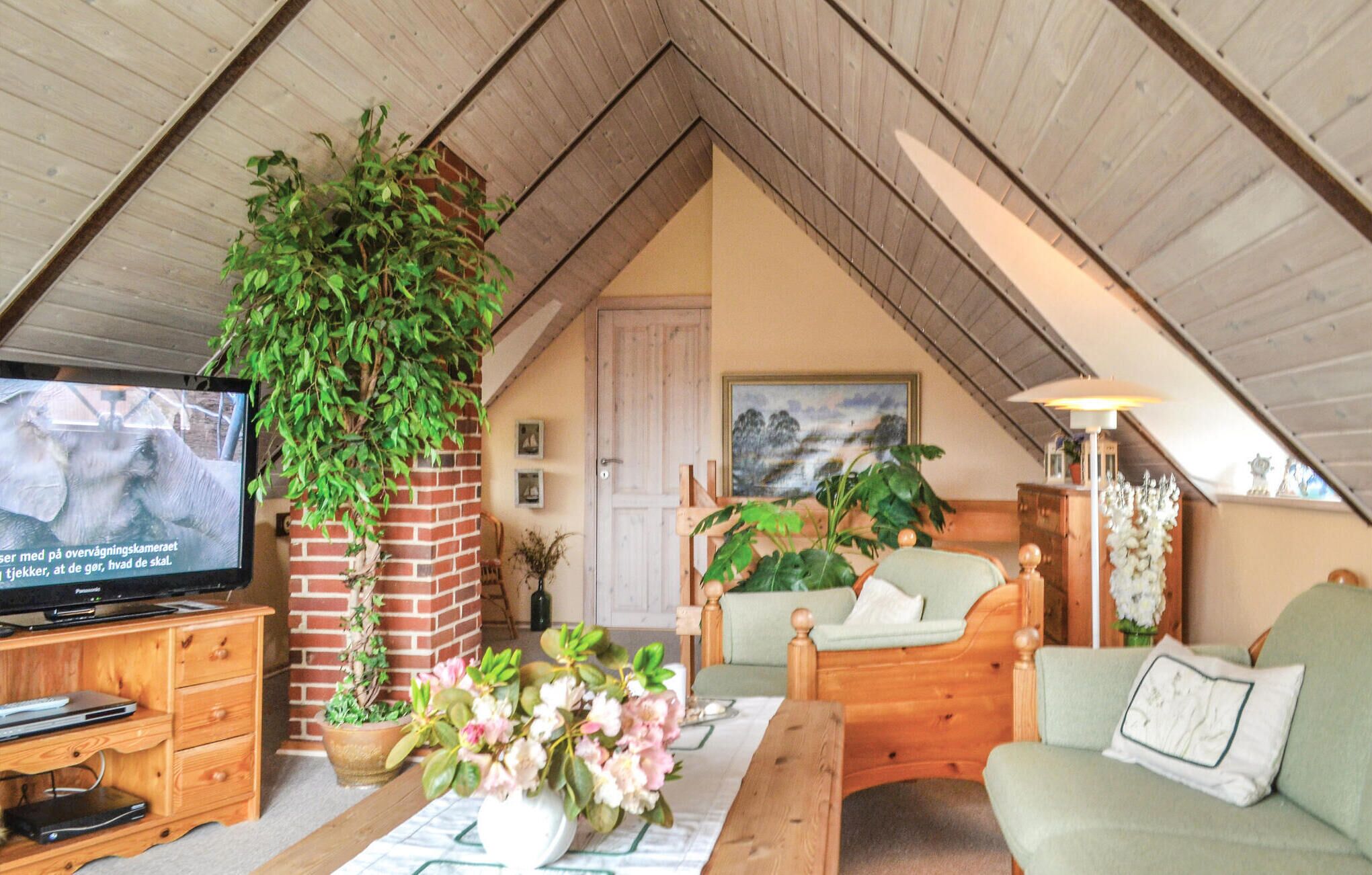 TV, fireplace, DVD player