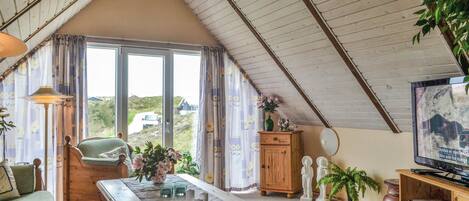 TV, fireplace, DVD player