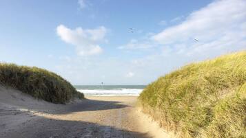Un sentier de sable bordé de dunes herbeuses mène à la mer sous un ciel dégagé.