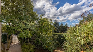 A garden with dense foliage, a paved path, and a metal gate.