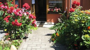 A pathway leading to a building with a brown facade and a door with a lace curtain.