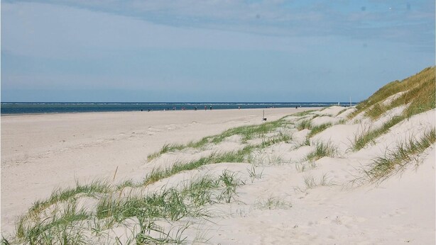A sandy beach with dunes and a clear sky. - 3 bedroom nice home in Blåvand (Blåvand)