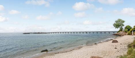 Tæt på stranden, fiskeri