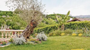 Ein Garten mit Baum, diversen Pflanzen und einem Gebäude im Hintergrund.