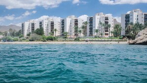 Un hotel frente al mar con varios pisos, palmeras y una costa rocosa.