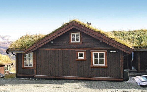 Exterior - Gorgeous home in Hemsedal with sauna (Hemsedal)