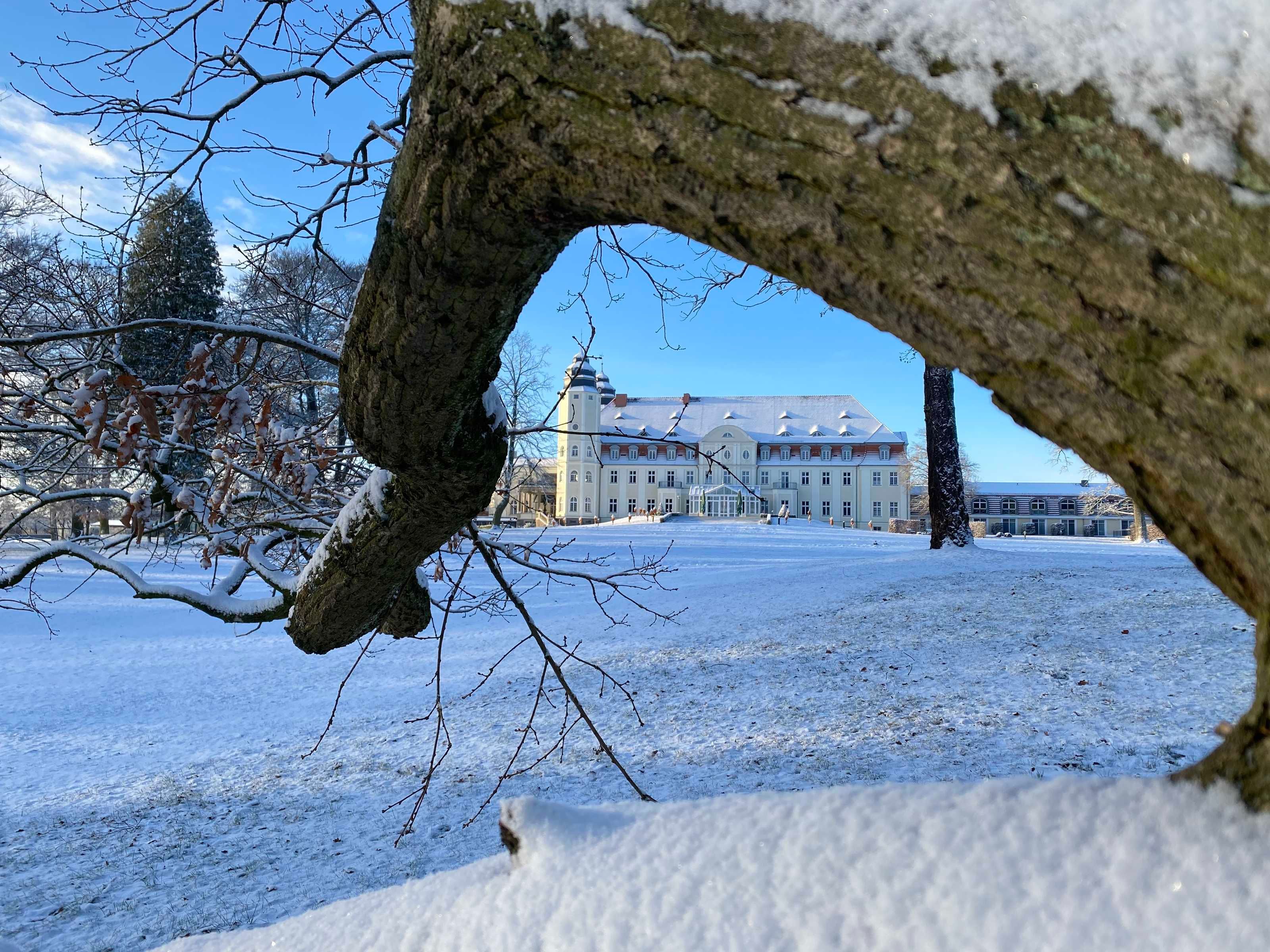 Lumipeitteinen sisäpiha, jonka taustalla kohoaa suuri rakennus.