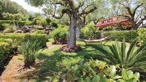 A garden with a large tree, various plants, and a hammock. - Amazing home in Acquavena di R. (SA) (Acquavena di R. (SA))