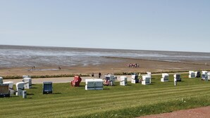Un espace aménagé au bord de la plage, comprenant des toilettes mobiles, un terrain herbeux et une vue sur la mer.