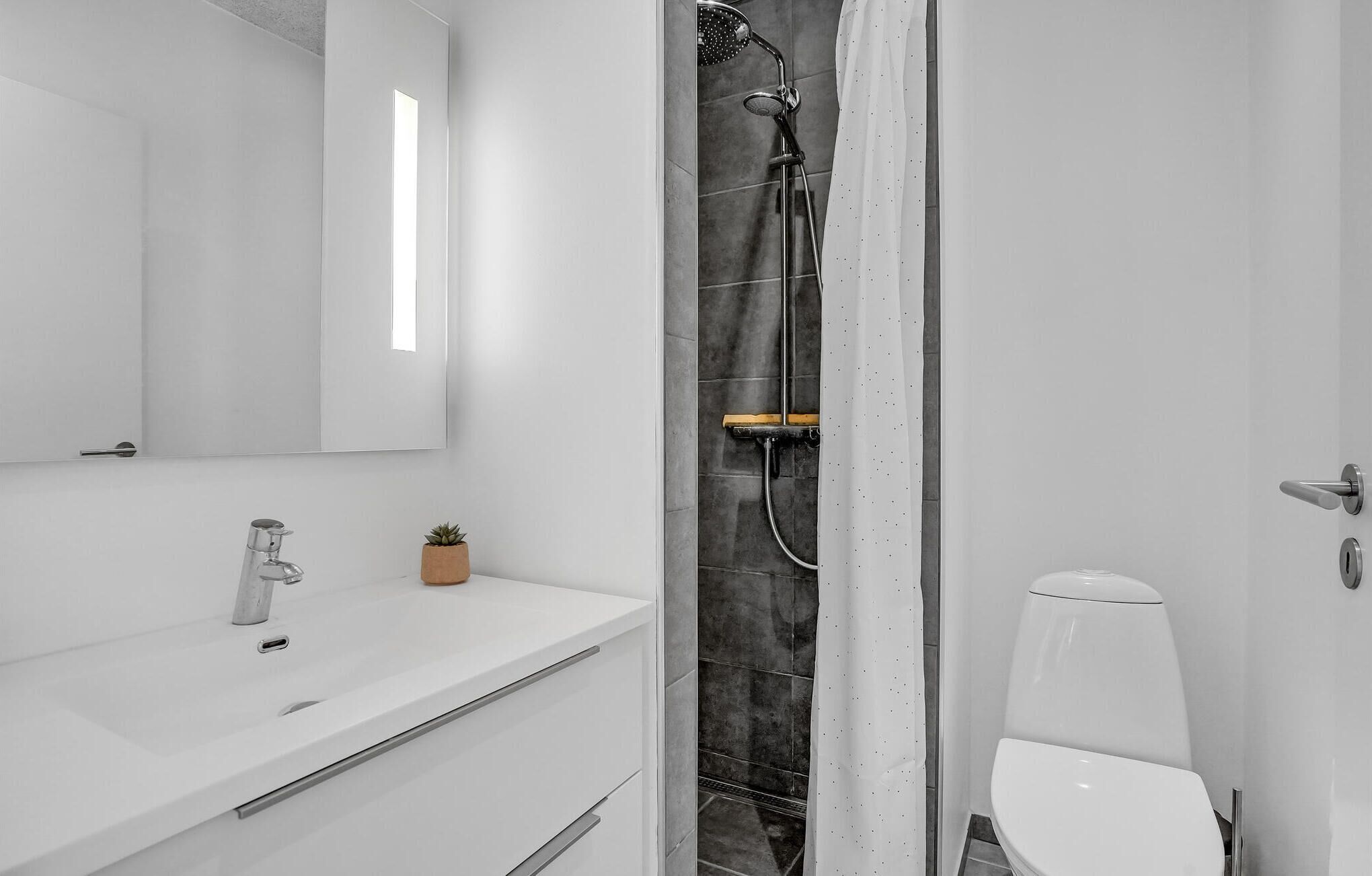 Une salle de bain moderne avec un lavabo blanc, une petite plante en pot, une douche avec un pommeau de douche amovible et des toilettes.