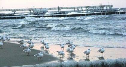 Sturmtaucher 221 - Holiday Park Streckelsberg * 10 min. To the Baltic Sea beach *