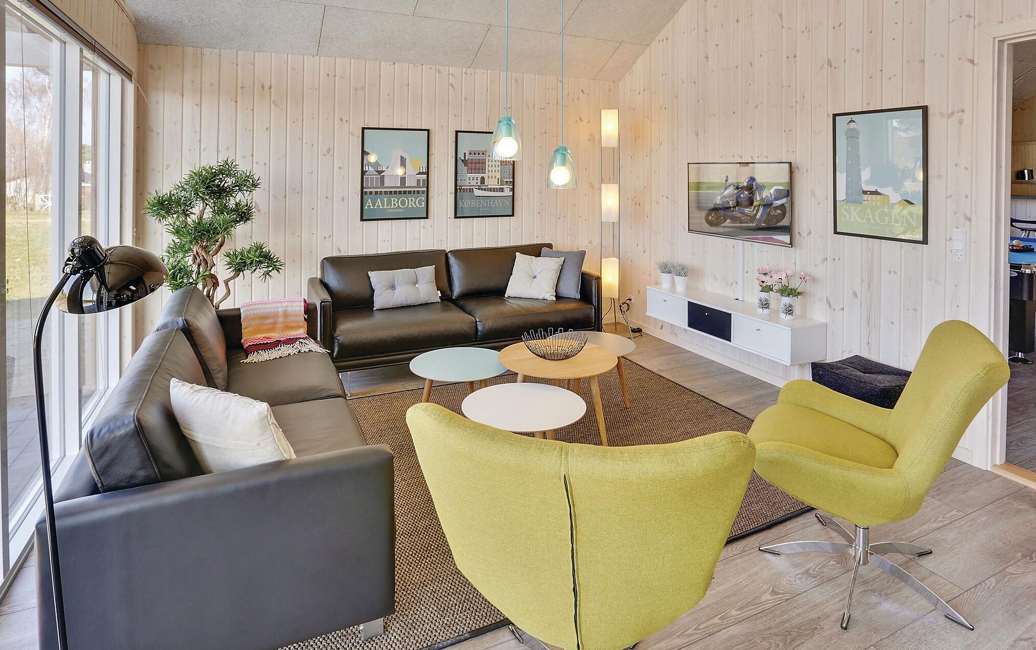 Tv, pejs, dvd-afspiller, bordfodbold