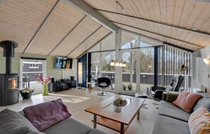 TV, fireplace, DVD player