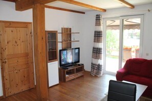 Fernseher