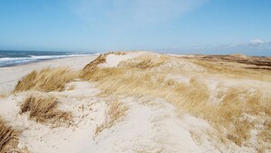 Ein Strand mit Dünen und dem Meer im Hintergrund.