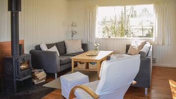 Televisión y chimenea