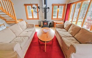 TV, fireplace, DVD player
