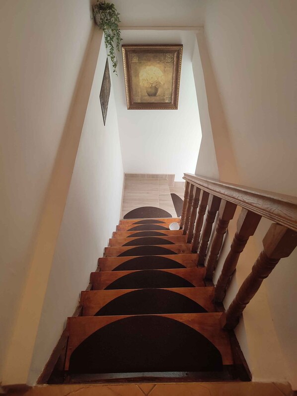 A staircase with wooden steps and a wooden handrail.